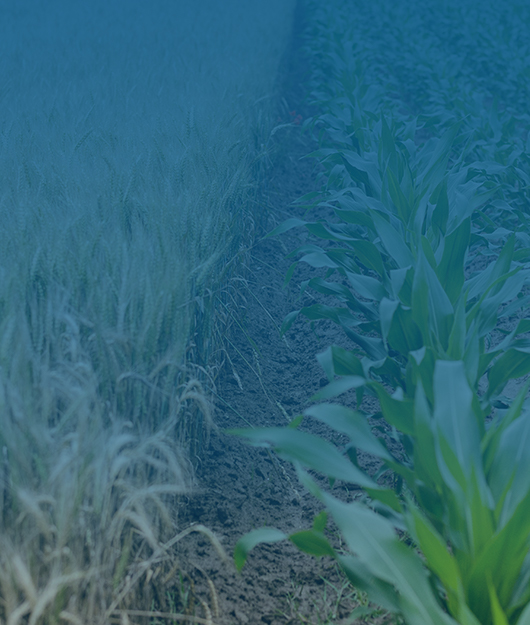 技術(shù)突圍實(shí)現(xiàn)進(jìn)口替代：2025國(guó)產(chǎn)肥料養(yǎng)分檢測(cè)儀市場(chǎng)格局與技術(shù)白皮書(shū)發(fā)布