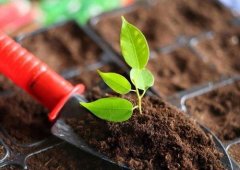 土壤養(yǎng)分檢測(cè)儀的應(yīng)用主要是在哪里？