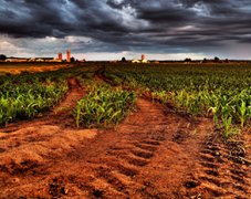 土壤養(yǎng)分分析儀對土壤有什么作用？